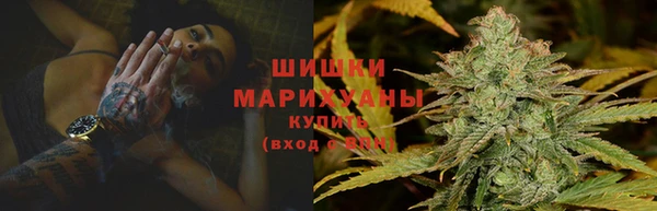 стафф Алзамай