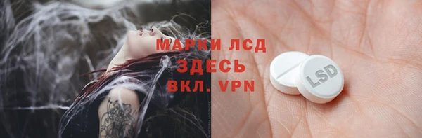 стафф Алзамай