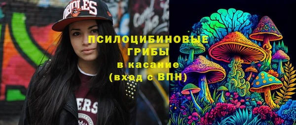 стафф Алзамай