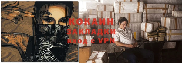 apvp Алексин